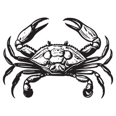 Creative black and white animal vector 