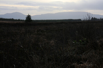 Ancient peat producing area - County Kerry - Ireland