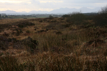 Moorland around disued peat bog production site - Bearna - County Kerry - Ireland