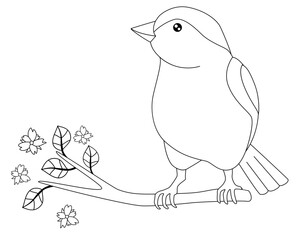 Little beautiful bird - vector linear picture for coloring. Sparrow is sitting on a flowering branch. Spring branch with leaves and flowers on which the bird sits. Outline.	