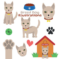Breed Dog - Cute Illustrations in Different Poses, Sitting, Side, Head, Paw and Lying in Doghouse. Cartoon in Flat Design.