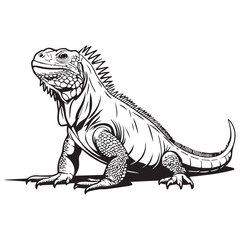 Creative black and white animal vector 