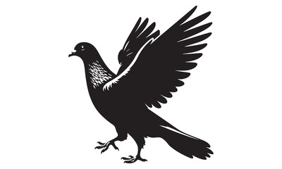 Fototapeta premium White Dove of Peace Flying on White Background