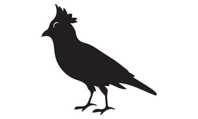 Fototapeta premium Black crow silhouette illustration on white background