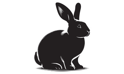 Fluffy white bunny rabbit isolated on white background, perfect for Easter designs