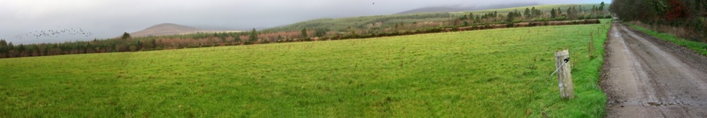 Panorama - Countryside surrounding Mount Melleray Abbey - Knockmealdown mountains - County Waterford - Ireland