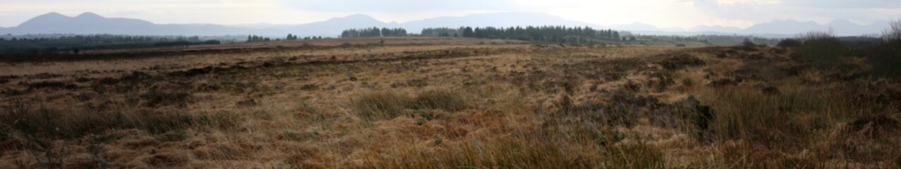 Panorama - Moorland around disued peat bog production site - Bearna - County Kerry - Ireland