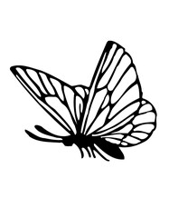 butterfly silhouette vector