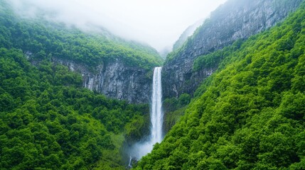 Majestic waterfall cascading into lush green forest: a symbol of climate action