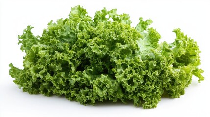 Obraz premium Fresh and vibrant green lettuce close-up isolated on white background perfect for salads and healthy food concepts