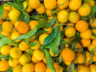 Top view of tangerines in container in vegetable-fruit market
