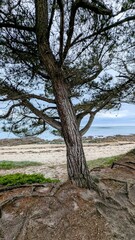 Obraz premium LOCMARIAQUER (Morbihan)