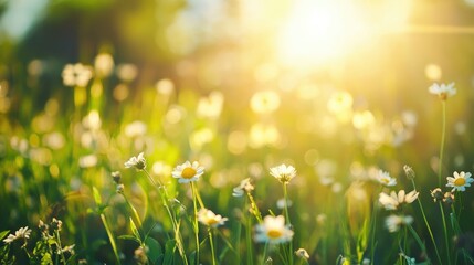 Sustainable growth concept with blooming flowers in sunlight symbolizing environmental technology and green energy sources in nature.