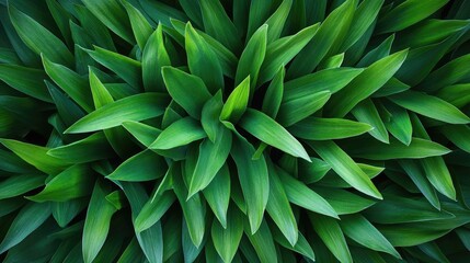 Obraz premium Vibrant green grass texture for seamless backgrounds showcasing lush lawn, garden aesthetics, and sports field design concepts.