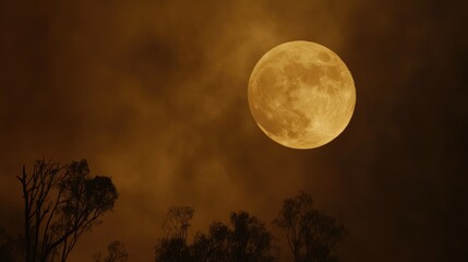 Moon illuminated by bushfire smoke creating an atmospheric orange glow against dark trees and smoky clouds at night