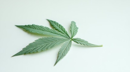 Green cannabis leaf isolated on a clean white background showcasing its detailed texture and vibrant color for natural health themes