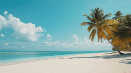 Obraz premium Idyllic tropical beach scene featuring calm blue sea white sand and palm trees under a clear blue sky in a lush vacation paradise