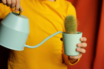 a child waters a cactus from a watering can. childhood, home joys, helping parents. Homemade indoor...