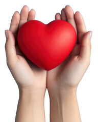 Obraz premium PNG A red heart in hands blue blue background romance.