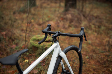 Fototapeta premium Photo of a bicycle in the forest. Travel background