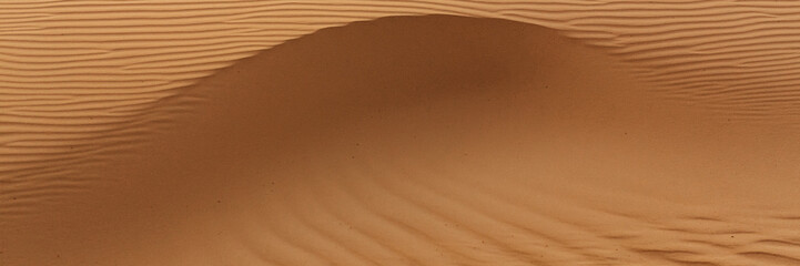 A tranquil desert sand dune with gentle ripples illuminated by sunlight, showcasing the minimalist beauty of nature. Ideal for themes of solitude, serenity, and natural landscapes. Perfect for