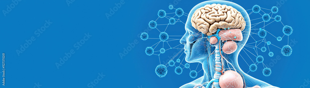 Poster image depicts detailed of human brain alongside neural connections, emphasizing complexity of nervou