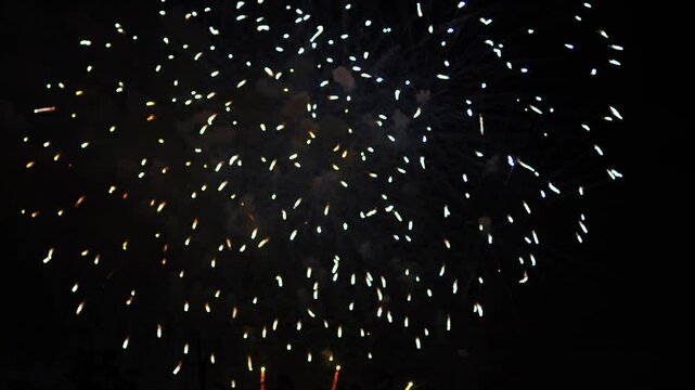 silver and green sparks scatter fireworks on the black night sky above the city. General plan