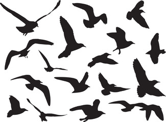 Silhouette of birds flying in the sky.