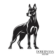 Doberman Pinschers dog black and white vector logo line art hand drawn vector pets illustration