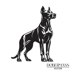 Doberman Pinschers dog black and white vector logo line art hand drawn vector pets illustration