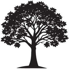 Obraz premium Tree sunset on a isoleted white background 