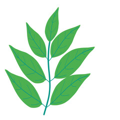 Decorative branch with green leaves illustration hand-drawn