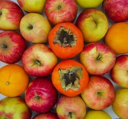 two persimmon fruits on a background of apples and oranges
