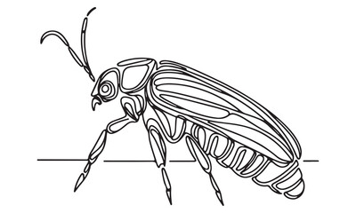 Single-Line Drawing of a Stylized Insect, Beetle, or Bug with Intricate Wing and Body Details, White Background