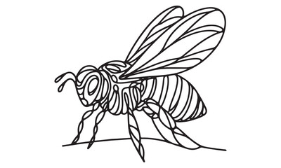 Intricate Line Art Drawing of a Honeybee, Black and White Detailed Illustration of a Bee,  Single-Line Bee Sketch, Honeybee Vector Art,  Striped Bee Graphic Design, Stylized Bee Outline, Abstract Bee 