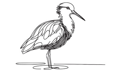 Illustration of a crane bird in flight with wings spread, showcasing a beak and feathers in a natural wildlife setting