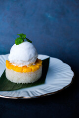 Mango sticky rice, thai mango with sweet sticky rice and coconut milk, Sticky Rice with Mango, glutinous rice served with fresh mangoes topped with coconut milk, dessert