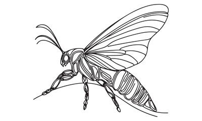 Engraved black and white butterfly illustration, isolated on white background, showcases intricate wing details and captures the delicate beauty of this iconic insect