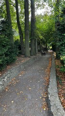 Fototapeta premium A charming park path lined with trees and a rustic stone wall. The play of sunlight filtering through the leaves creates a serene and inviting atmosphere, perfect for a leisurely stroll