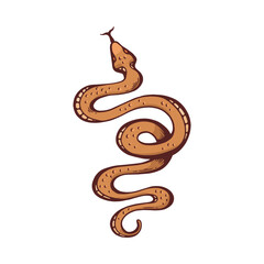 Snake vector hand drawn icon, spotted serpent tongue hanging out, viper, boa or anaconda reptile predator wild animal