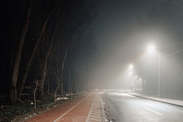 Foggy urban road and red-brick bike lane lit by soft streetlights, surrounded by shadowy trees,...