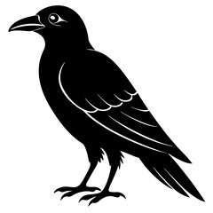 crow silhouette vector art