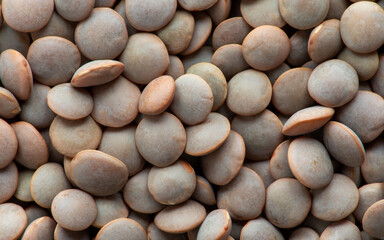 Uncooked brown lentils as an background texture. 