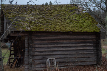 A rustic wooden cabin with a moss-covered roof, surrounded by bare trees in a quiet, natural countryside setting.