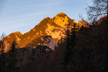 Mountain peak Monte Gosadon bathed in warm sunrise light seen from Somdogna in Julian Alps, Friuli Venezia Giulia, Italy. Slopes covered by coniferous forest in autumn. Wanderlust in Italian Alps
