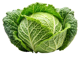 Obraz premium cabbage isolated on white