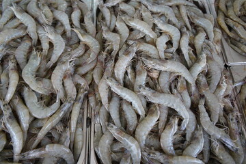 Whiteleg shrimp (Litopenaeus vannamei, synonym Penaeus vannamei), also known as Pacific white...