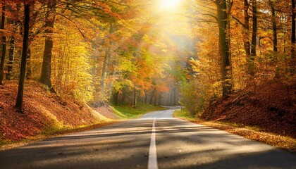 Naklejka premium autumn forest road at warm sunny fall morning