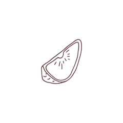 Vector graphics a grapefruit cut in half in a contoured style on a white background.