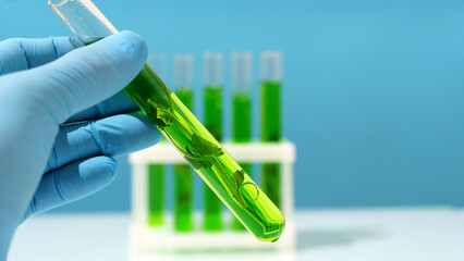 Biotechnology lab. Plant sprout in a test tube. Scientific laboratory and bioengineering